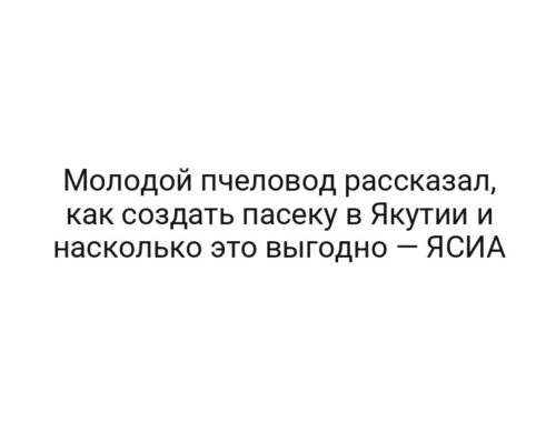 Молодой пчеловод рассказал, как создать пасеку в Якутии и насколько это выгодно — ЯСИА