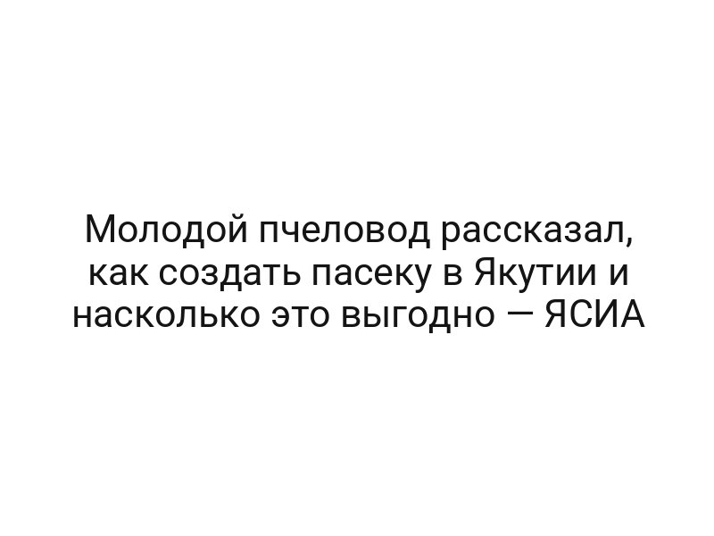 Молодой пчеловод рассказал, как создать пасеку в Якутии и насколько это выгодно — ЯСИА