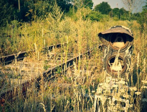 В путешествие — без пересадок: тулякам рассказали, куда они могут добраться на поезде и автобусе | ИА “Тульская Пресса”