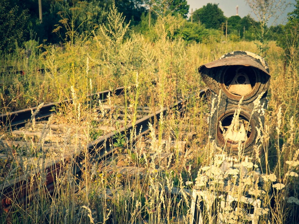 В путешествие — без пересадок: тулякам рассказали, куда они могут добраться на поезде и автобусе | ИА “Тульская Пресса”