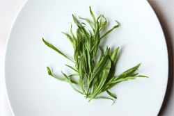 Тархун (эстрагон): как использовать в кулинарии — советы шефа