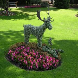 Создание топиариев своими руками в саду: с чего начать новичку, техники и стили выполнения. Торговый комплекс Балтия