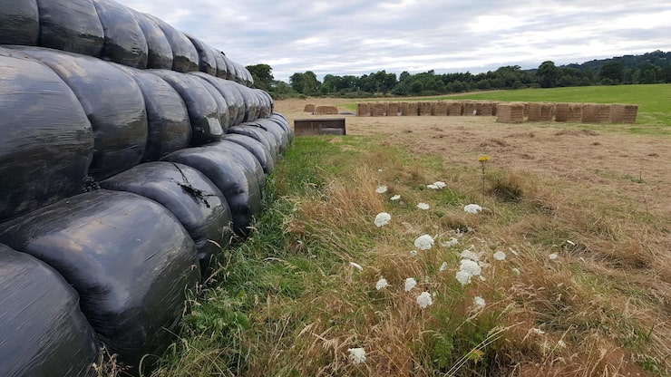 Как сделать септик из еврокубов с полем фильтрации