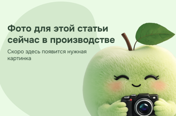 Что можно и нельзя строить на участке для ЛПХ